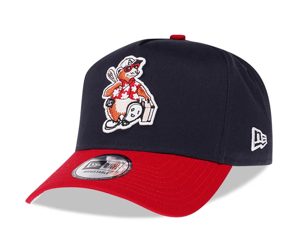 New Era Asheville Tourists Two Tone Prime Edition 9Forty A Frame Snapback Cap