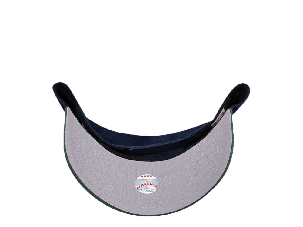 New Era Colorado Rockies Coors Field 1995 Ocean Copper Two Tone Edition 9Forty A Frame Snapback Cap