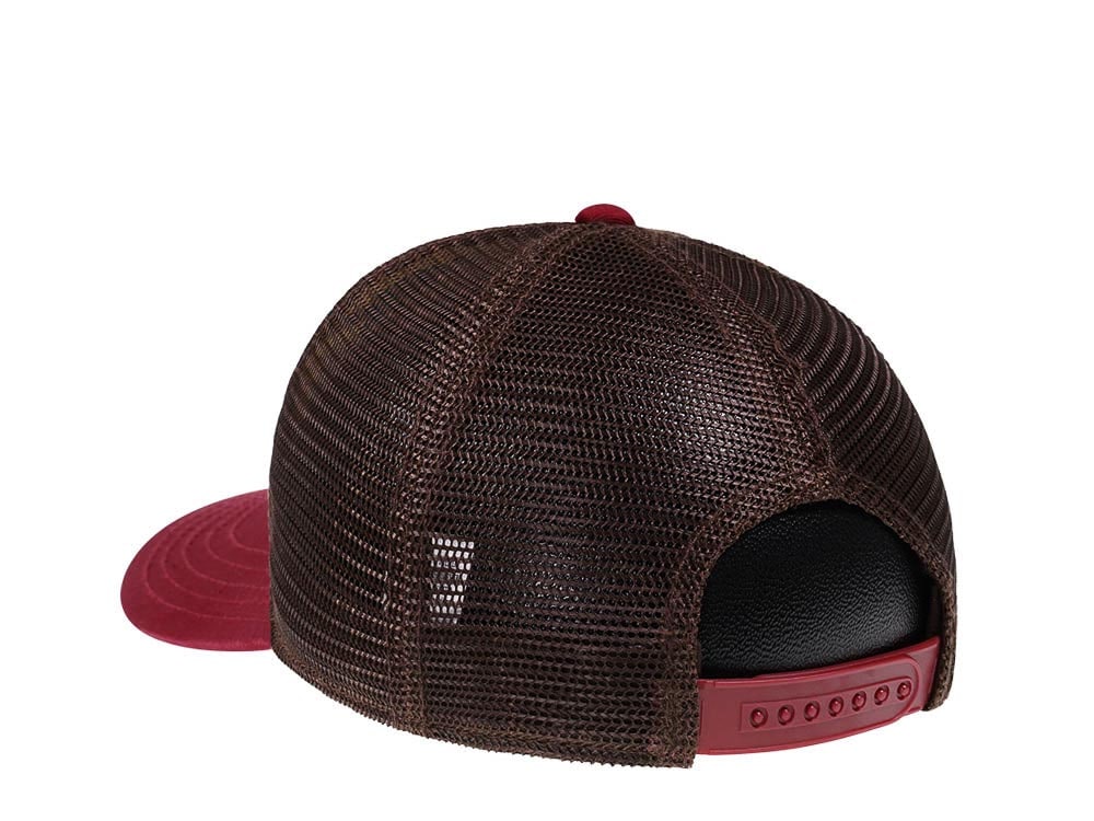 American Needle Grand Canyon NP Sinclair Trucker Snapback Cap