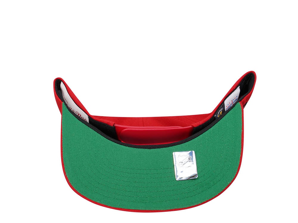 Mitchell & Ness Washington Capitals Alternate Flip Vintage  Snapback Cap