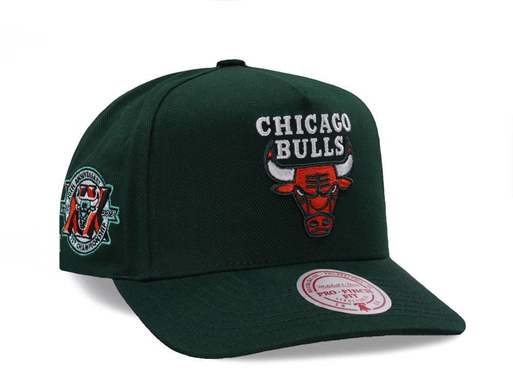 Mitchell & Ness Chicago Bulls 20th Anniversary Green Edition Pro Pinch Fit Snapback Cap