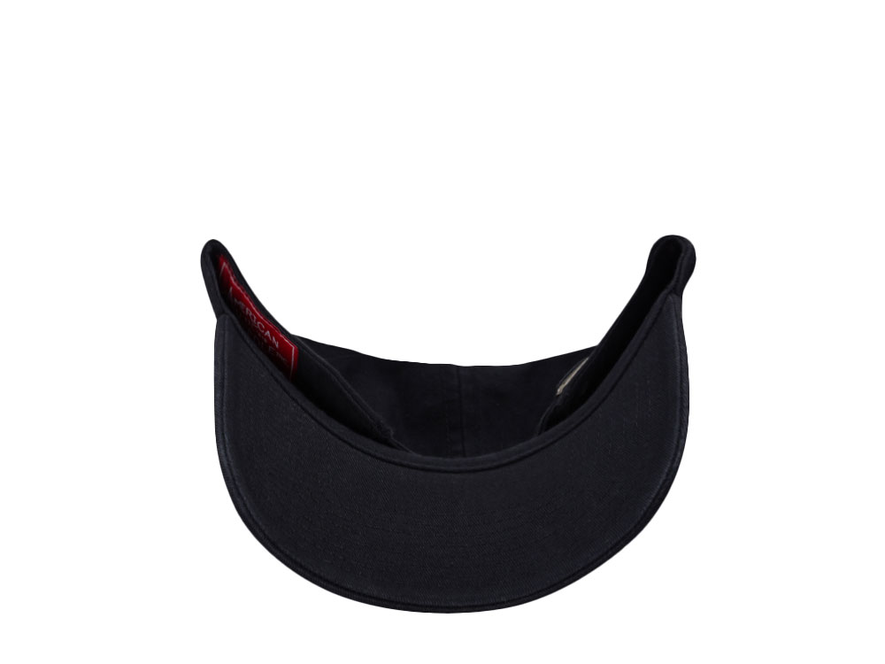 American Needle Tiyo Whales Black Ballpark Strapback Cap