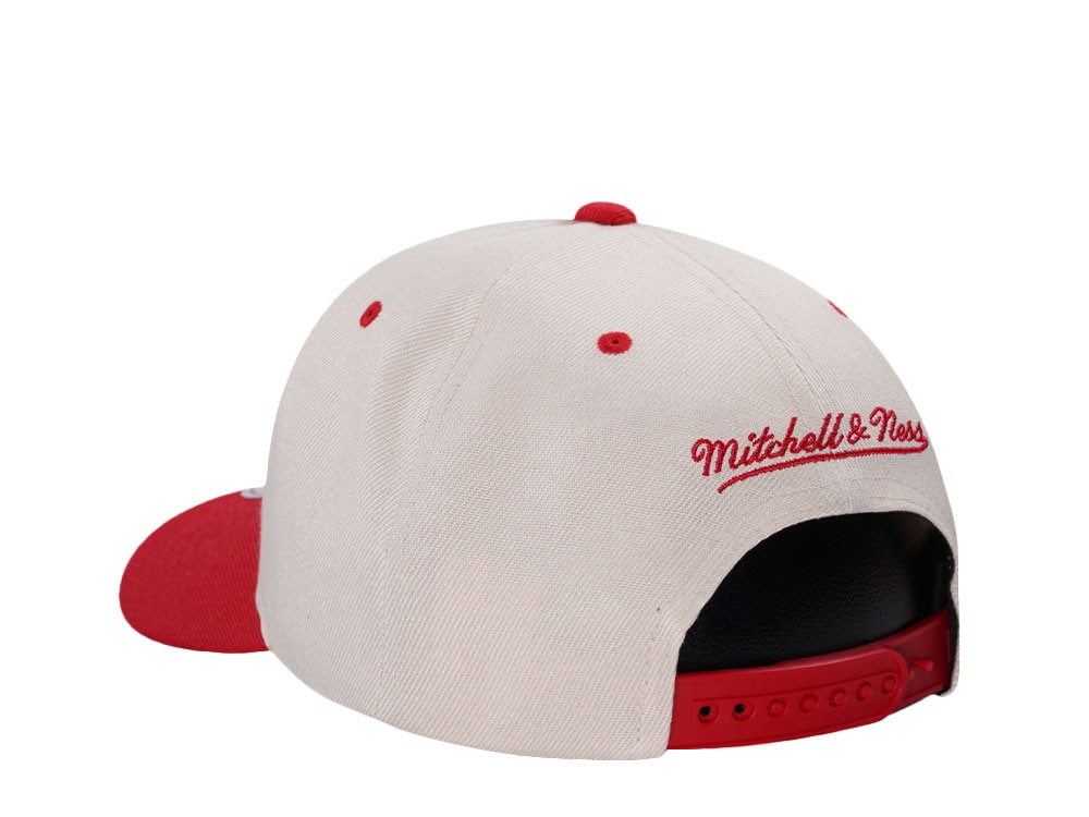 Mitchell & Ness Detroit Red Wings Chrome Two Tone Pro Crown Fit Snapback Cap