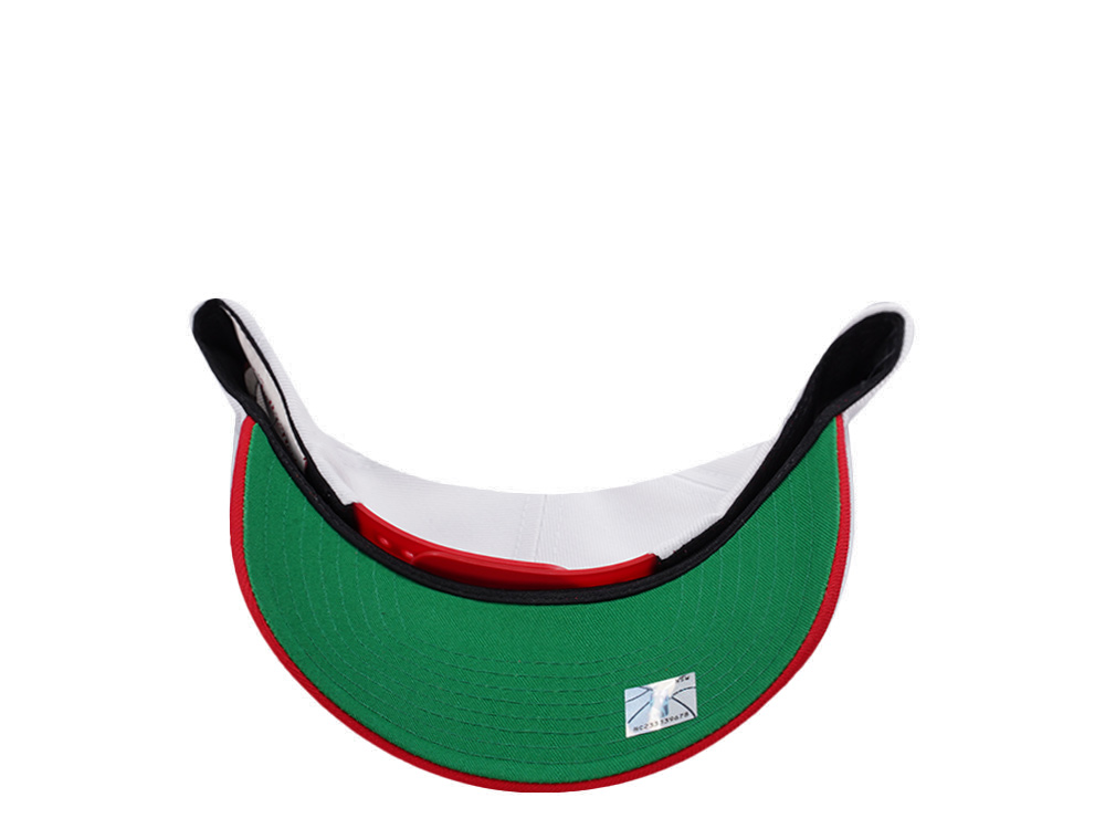Mitchell & Ness Chicago Bulls NBA Playoffs 1996 Chrome Two Tone Editon Pro Crown Fit Snapback Cap