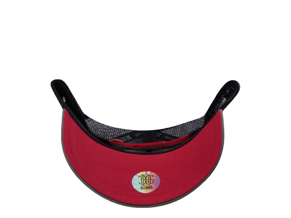 Djinns Guatemala Coastal Trucker Snapback Cap