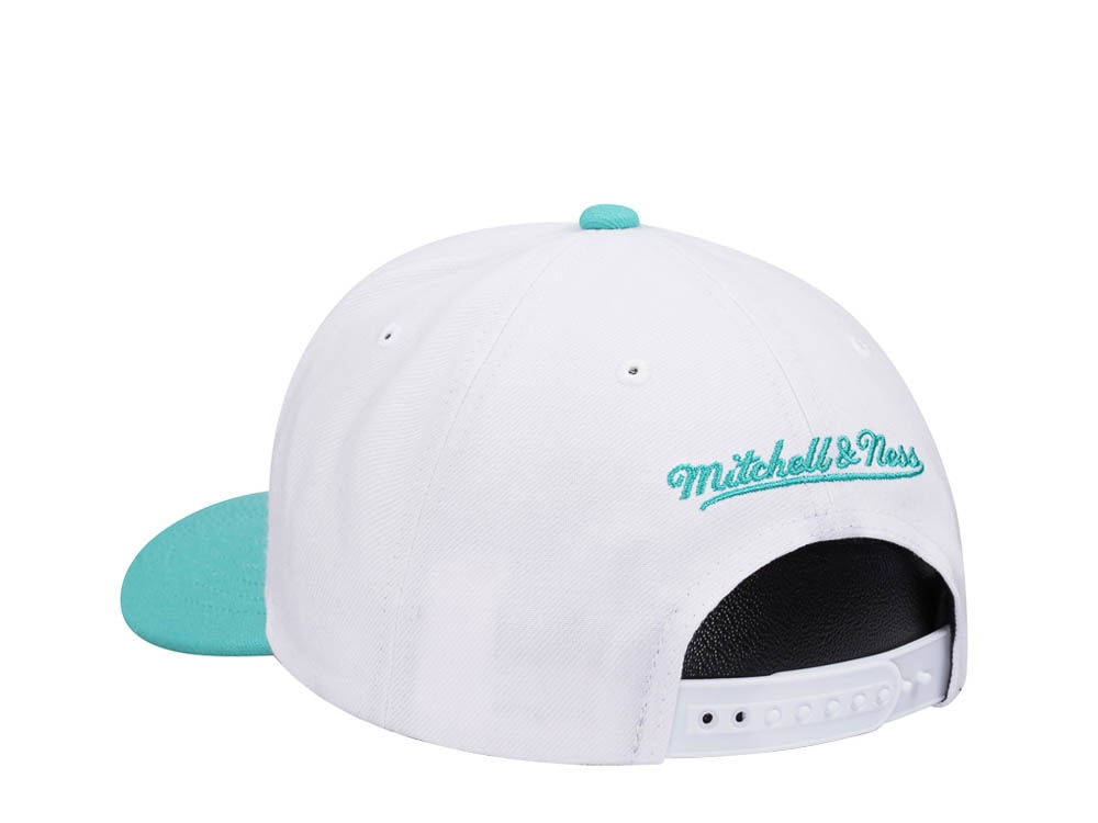 Mitchell & Ness Vancouver Grizzlies Team Two Tone 2.0 Pro Snapback Cap