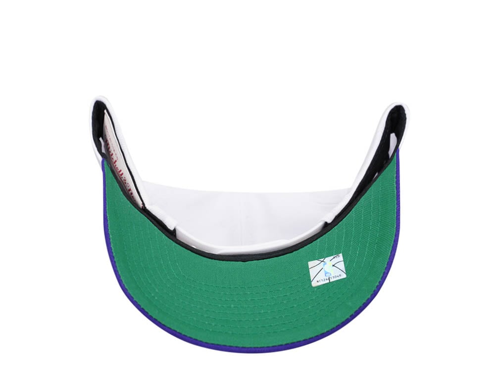 Mitchell & Ness Milwaukee Bucks Team Two Tone 2.0 Pro White Snapback Cap
