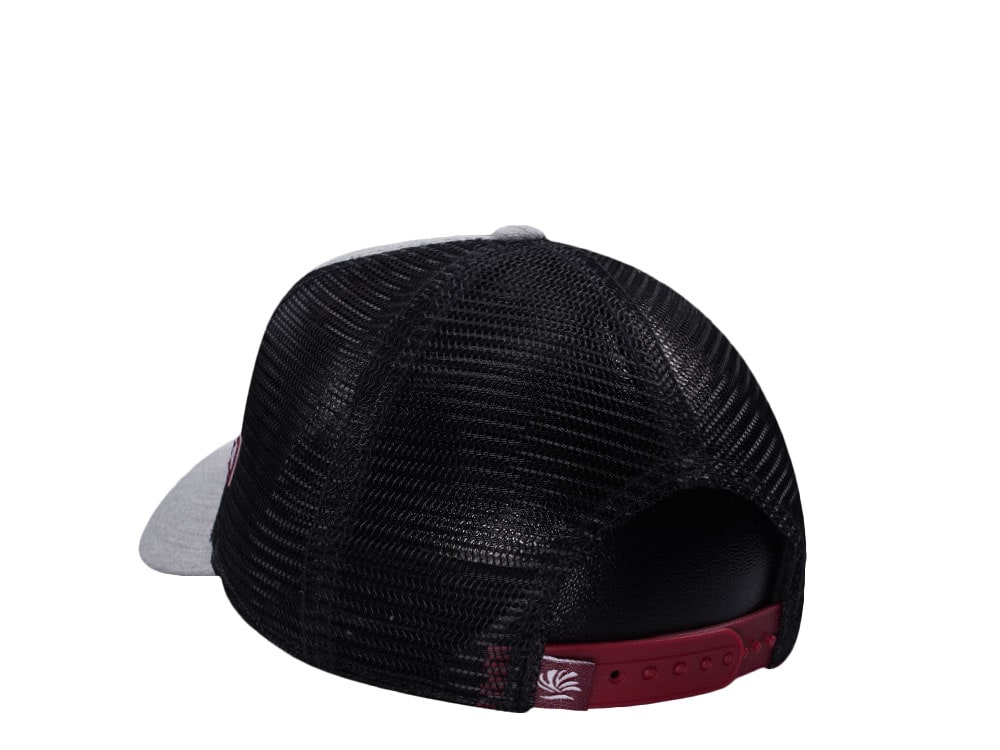 Djinns See You Out There Gray Trucker Snapback Cap