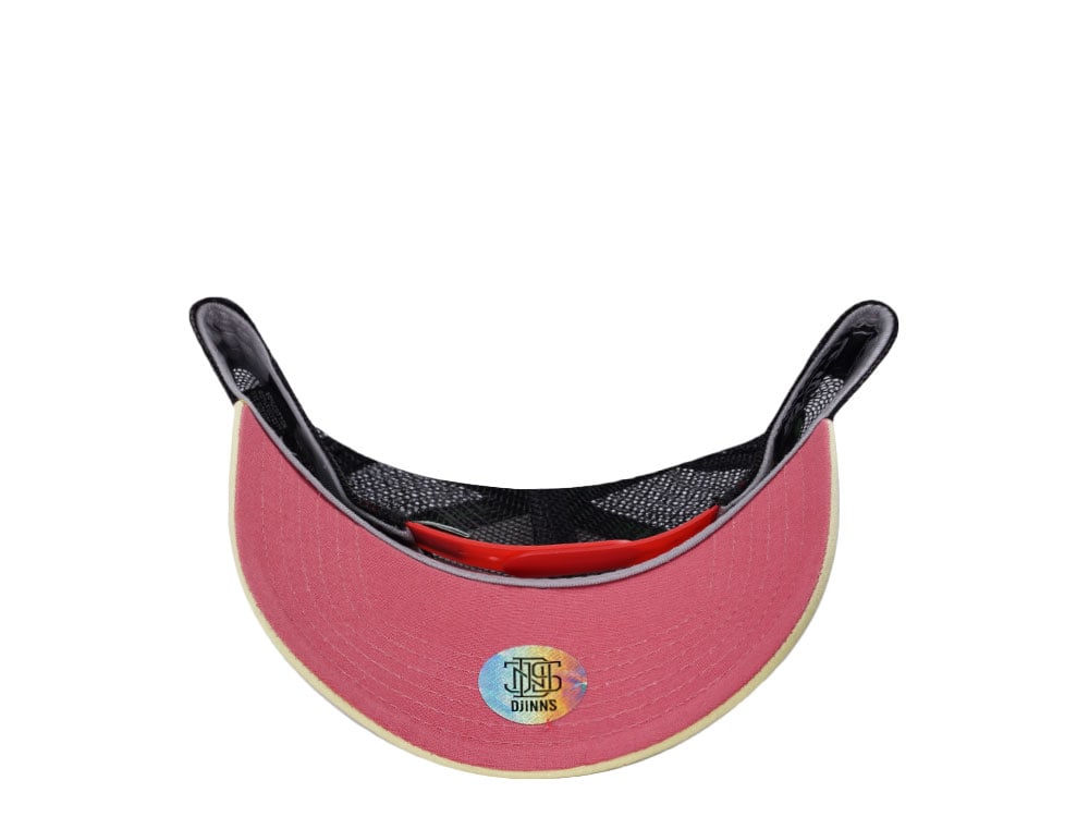 Djinns The Tides Are Getting Higher Coastal Trucker Snapback Cap