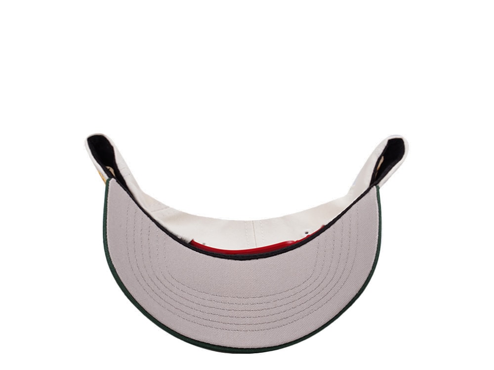 Parallel Union Mexico Skull Headdress Chrome Two Tone Edition Snapback Cap