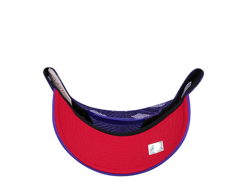 Mitchell & Ness Toronto Raptors Purple Billboard Trucker Snapback Cap